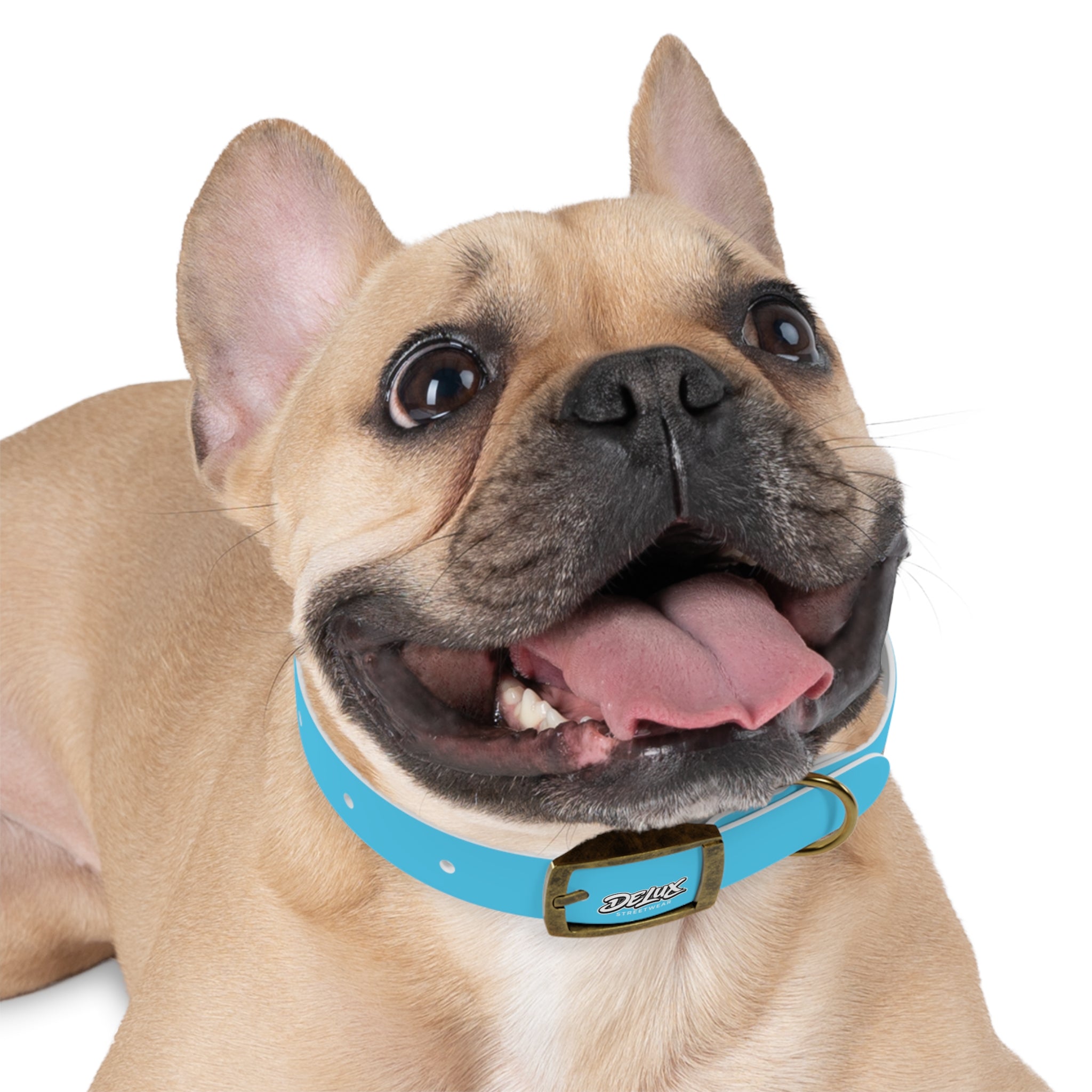 Aqua Blue Dog Collar — Durable Waterproof Pet Collar with Black Buckle