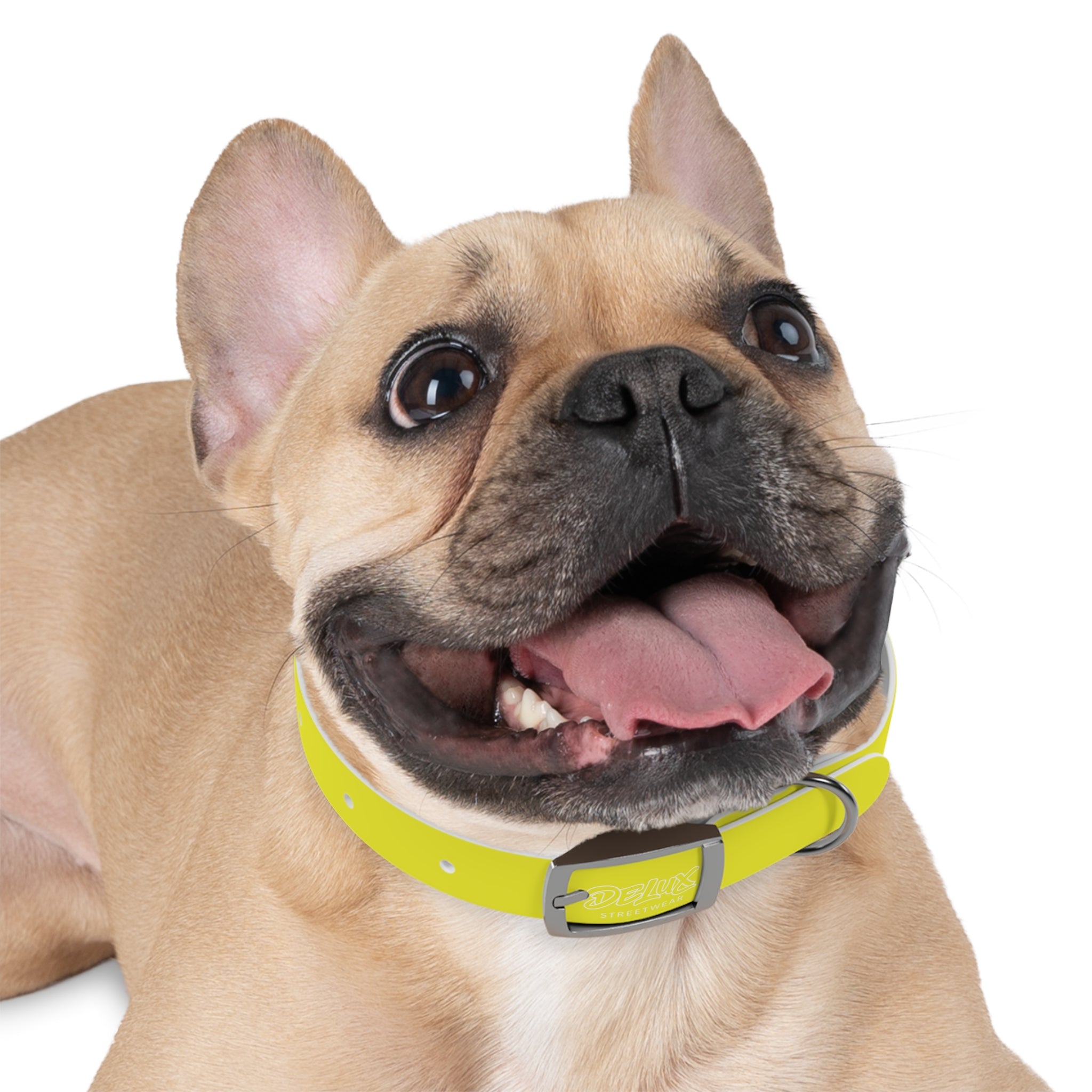 Neon Yellow Reflective Dog Collar — High-Visibility Safety Collar for Pets