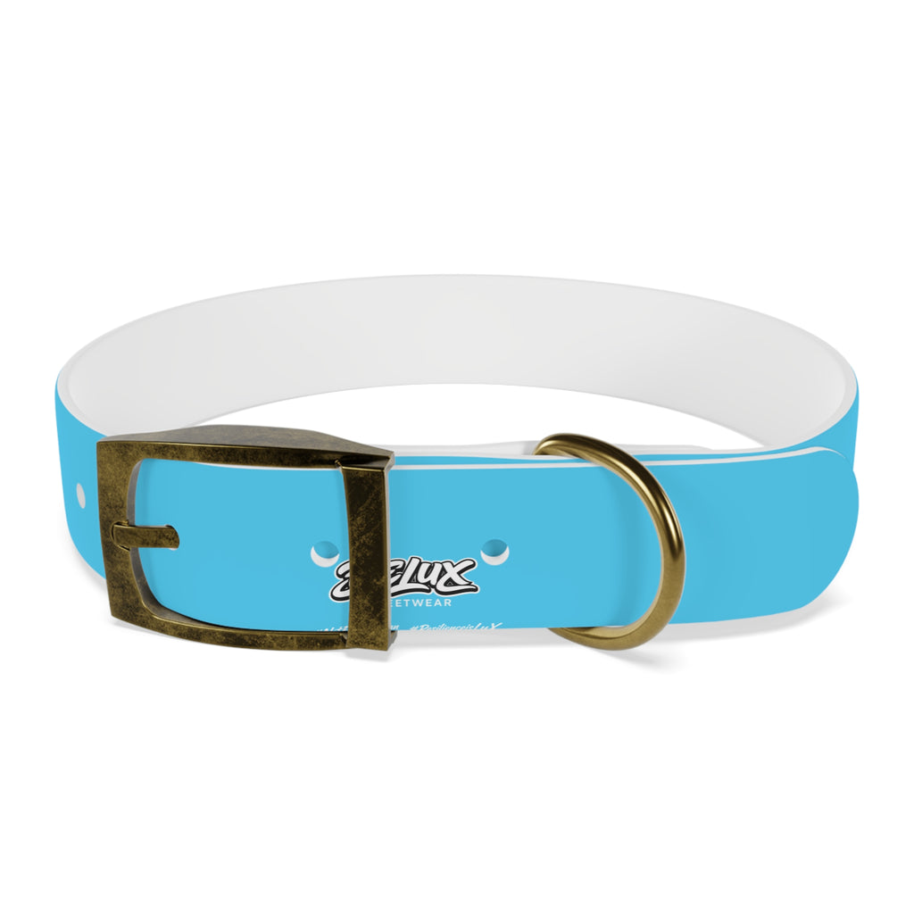 Aqua Blue Dog Collar — Durable Waterproof Pet Collar with Black Buckle