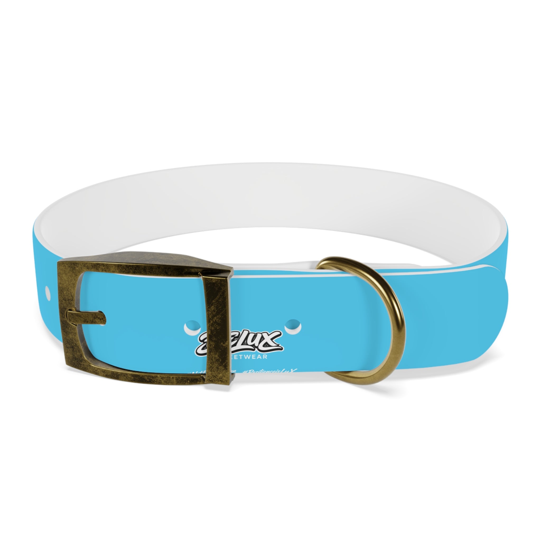 Aqua Blue Dog Collar — Durable Waterproof Pet Collar with Black Buckle