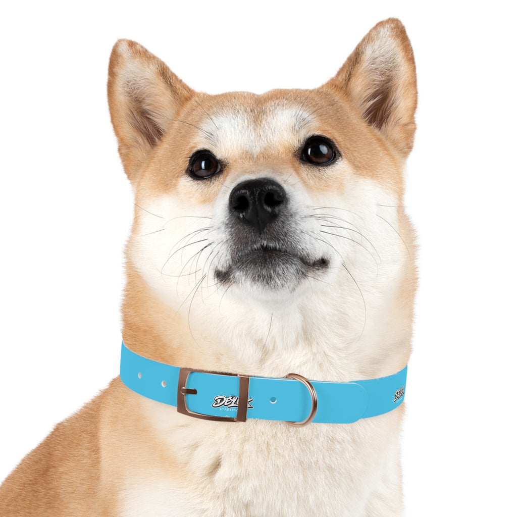 Aqua Blue Dog Collar — Durable Waterproof Pet Collar with Black Buckle