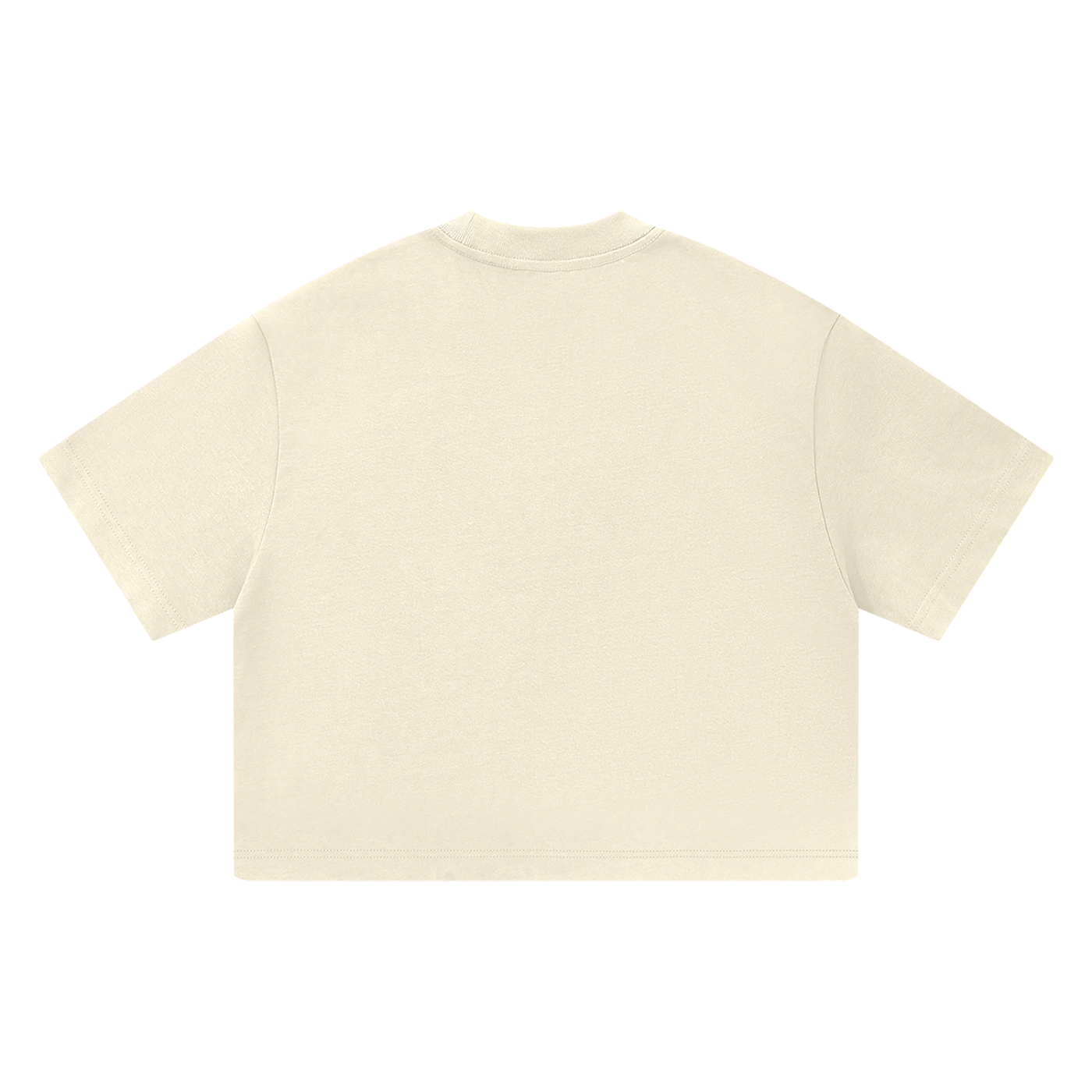 DeLuX Heavyweight Boxy T-Shirt