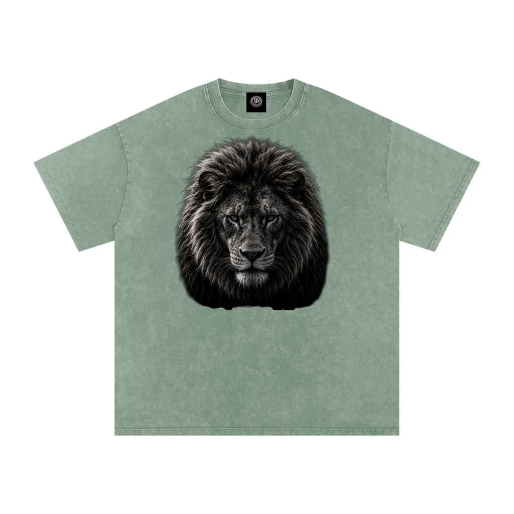 Snow Washed Oversized Cotton T-Shirt