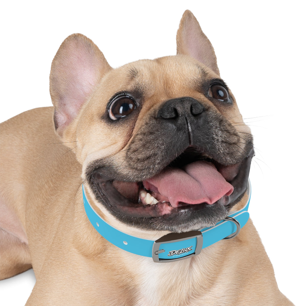 Aqua Blue Dog Collar — Durable Waterproof Pet Collar with Black Buckle