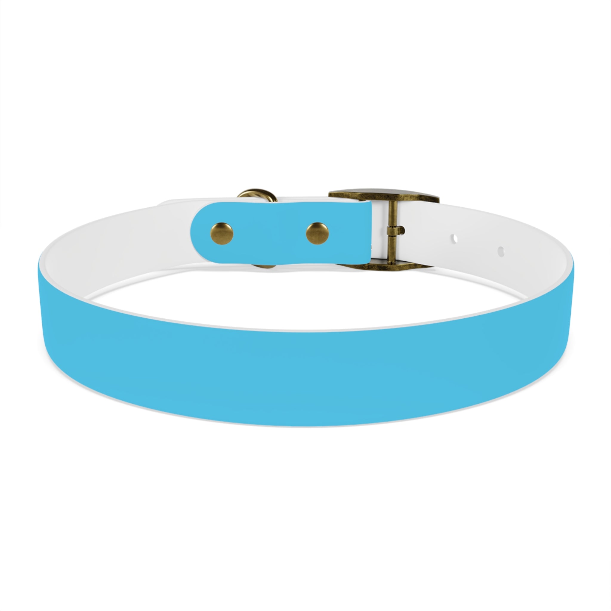 Aqua Blue Dog Collar — Durable Waterproof Pet Collar with Black Buckle