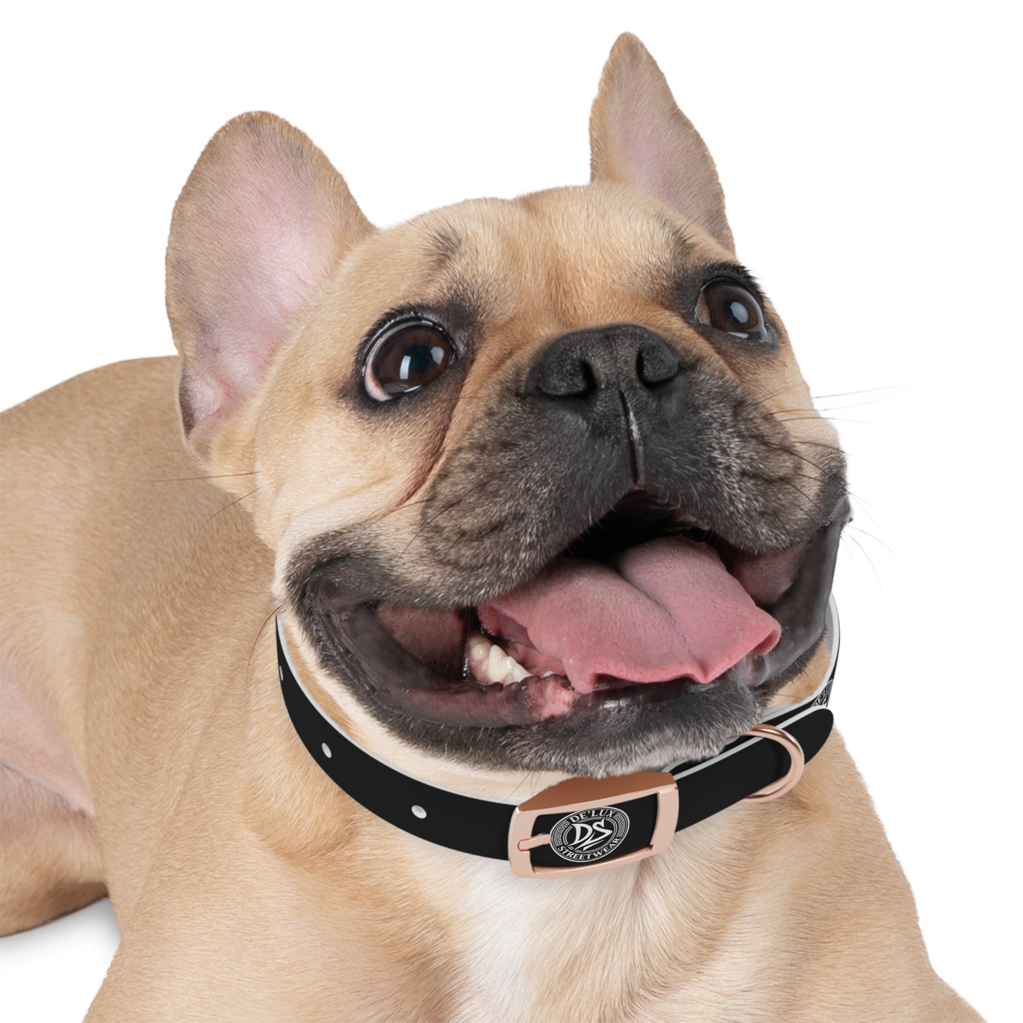 Black Logo Dog Collar — Durable Faux Leather Collar with Round Emblem