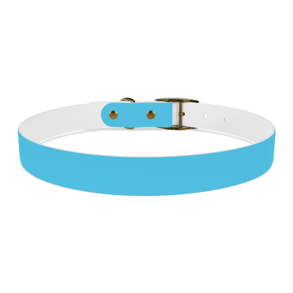Aqua Blue Dog Collar — Durable Waterproof Pet Collar with Black Buckle