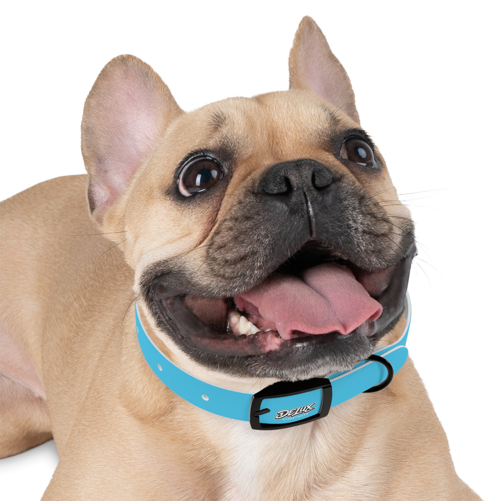 Aqua Blue Dog Collar — Durable Waterproof Pet Collar with Black Buckle