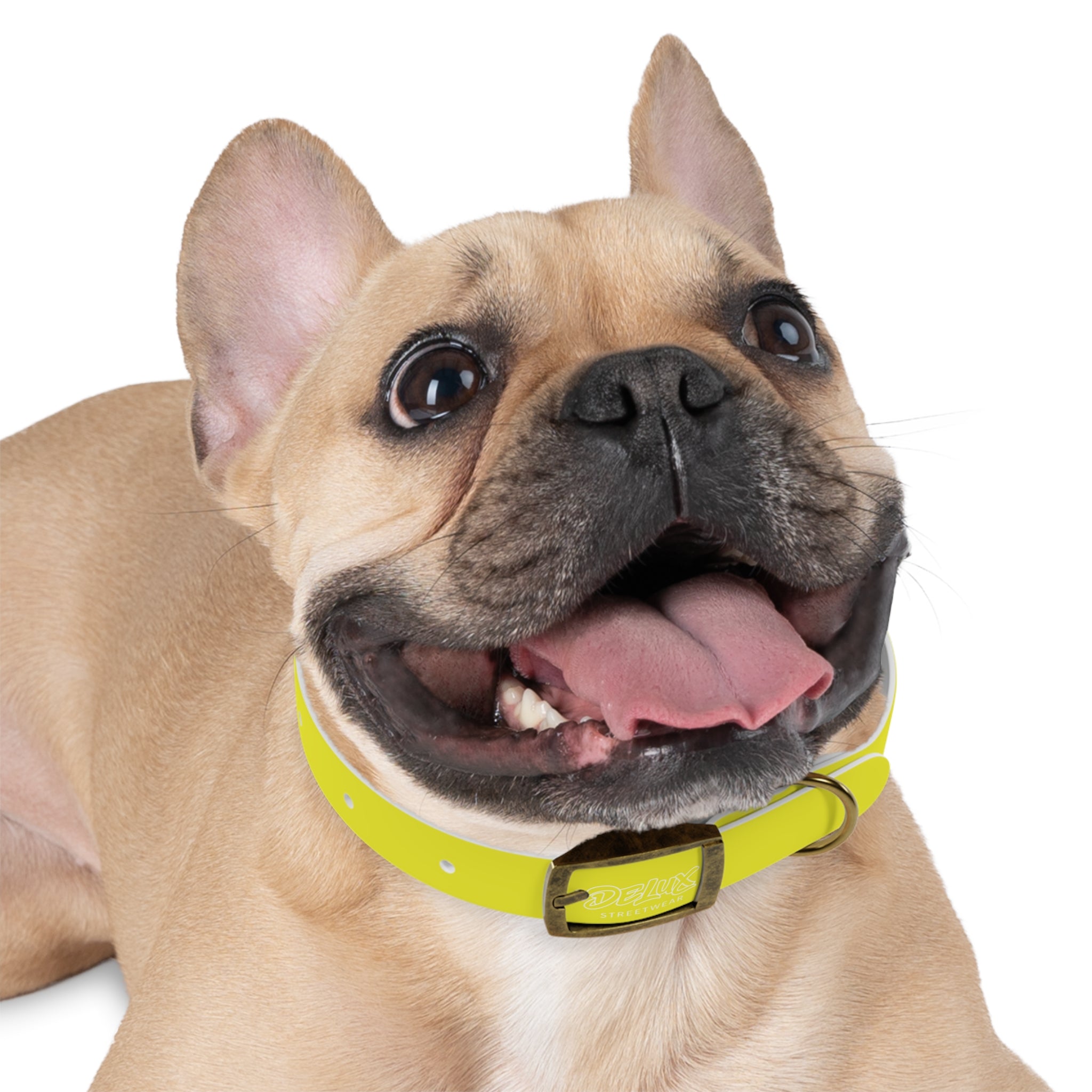 Neon Yellow Reflective Dog Collar — High-Visibility Safety Collar for Pets