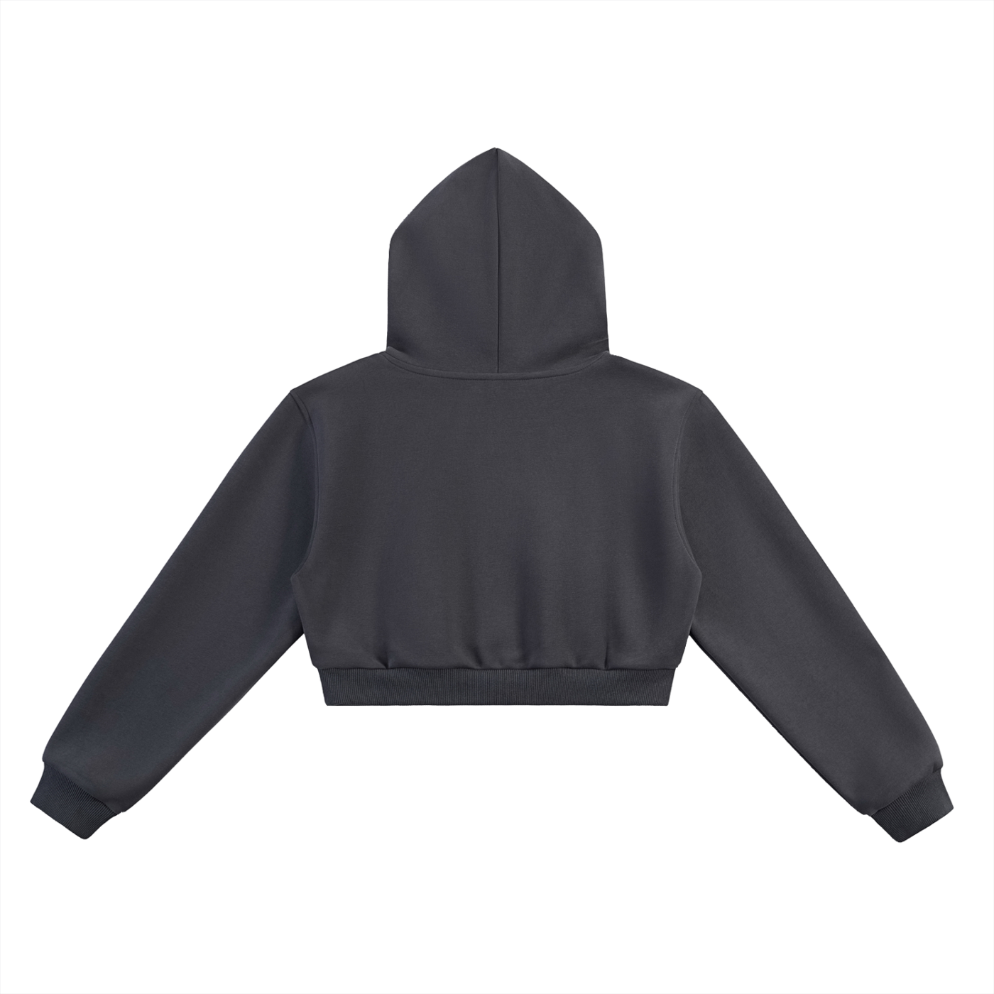 DeLuX Essential Cropped Hoodie