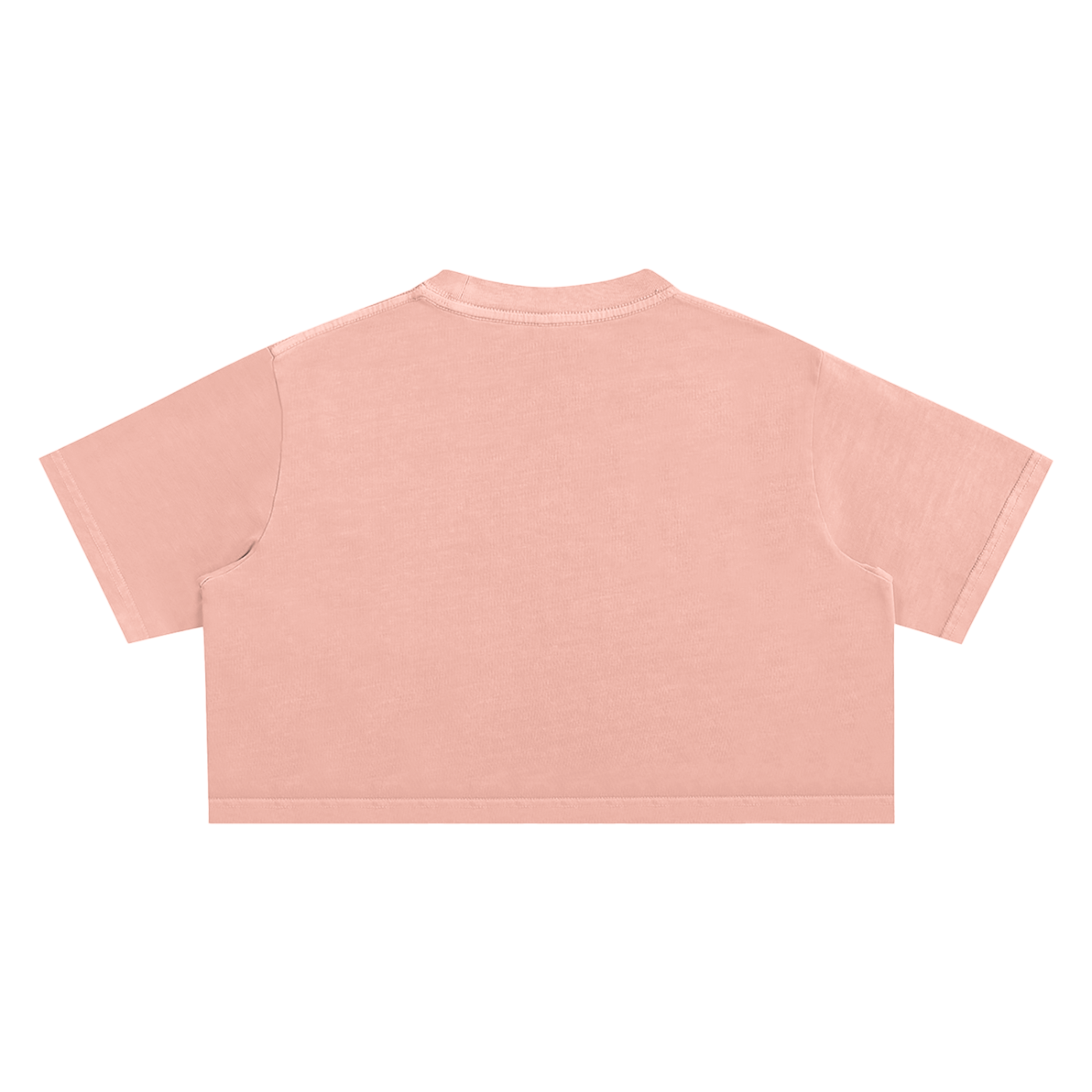 Panther Snow Washed Crop Top