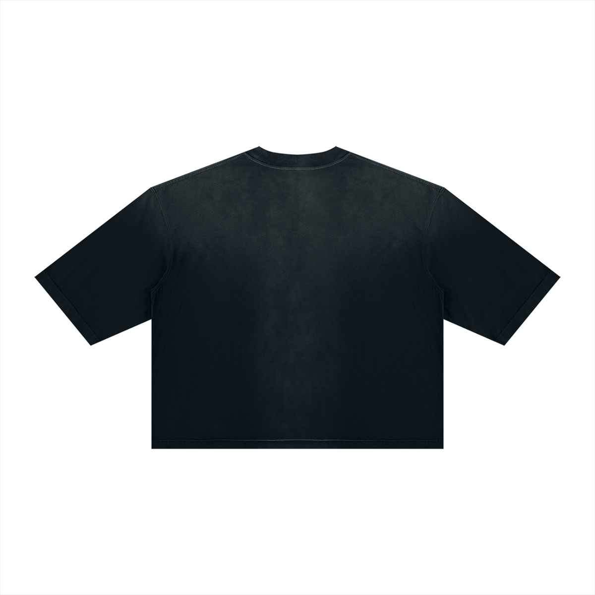 DeLuX Vintage Wash Sunfade Boxy T-Shirt