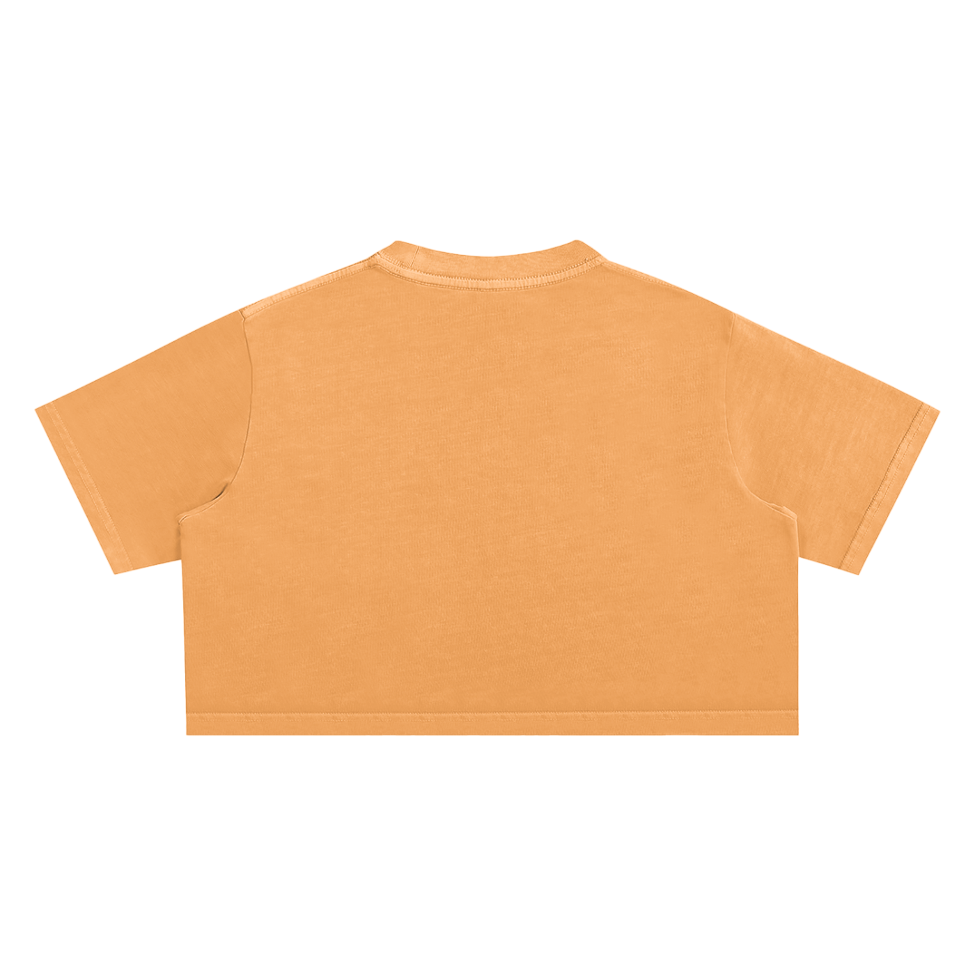 Panther Snow Washed Crop Top