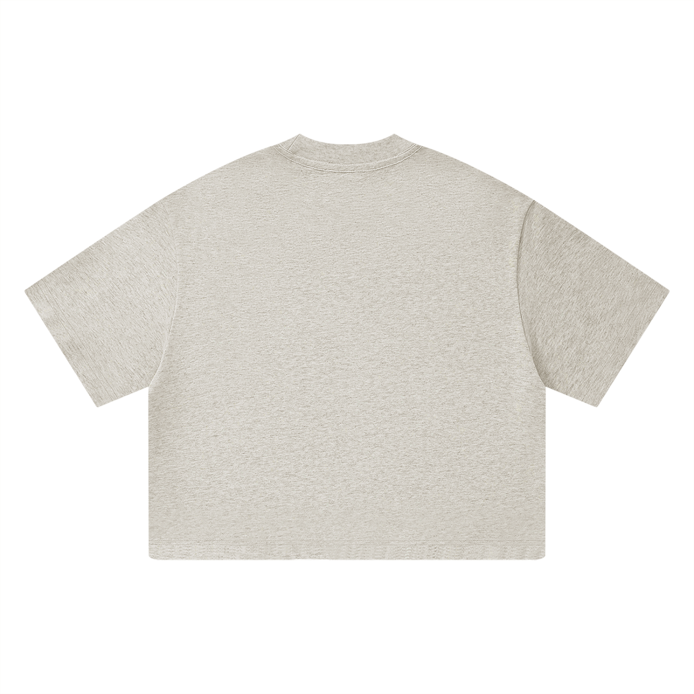 DeLuX Heavyweight Boxy T-Shirt